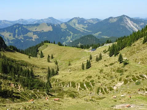 Obere Wallenburgalm