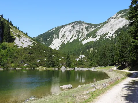 Soinsee
